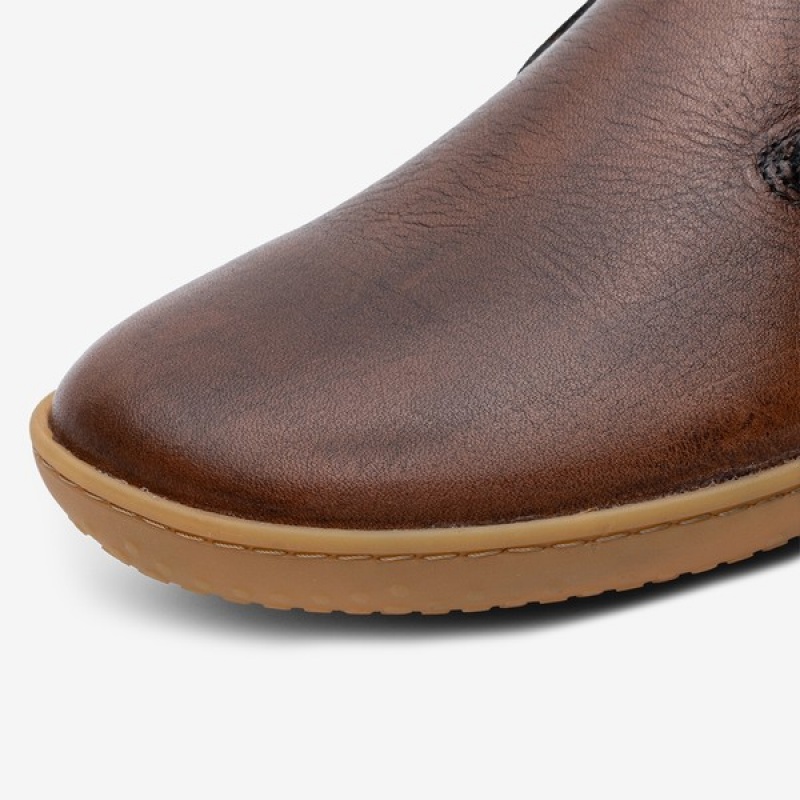 Brown Men's Vivobarefoot Preorder 'gobi Lux' Lifestyle Shoes | QEUGD-1740